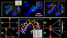 Photo provided by Coskun lab